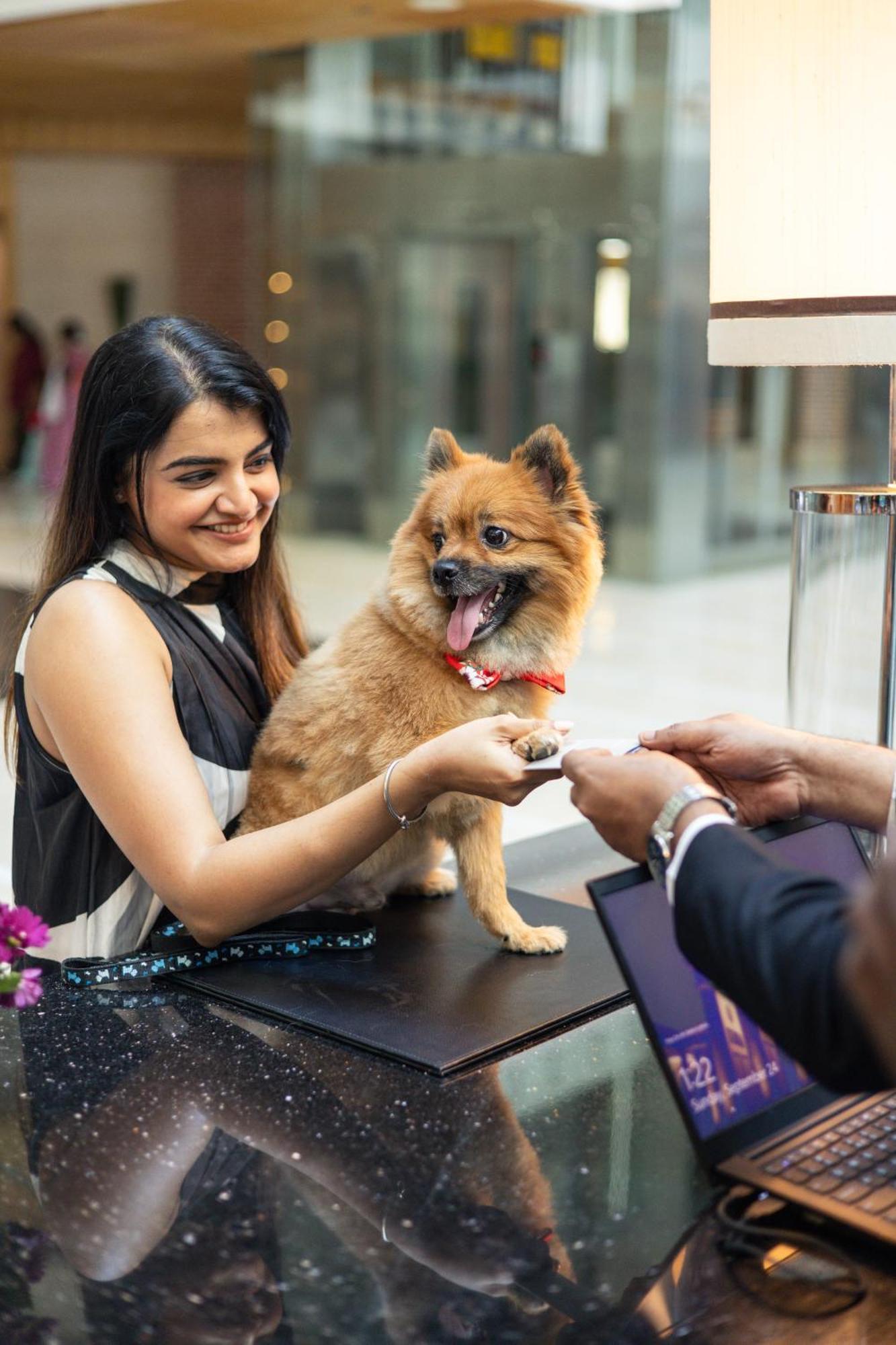 Отель Hyatt Regency Ченнаи Экстерьер фото A woman with her dog